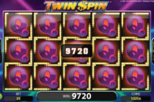 Twin Spin